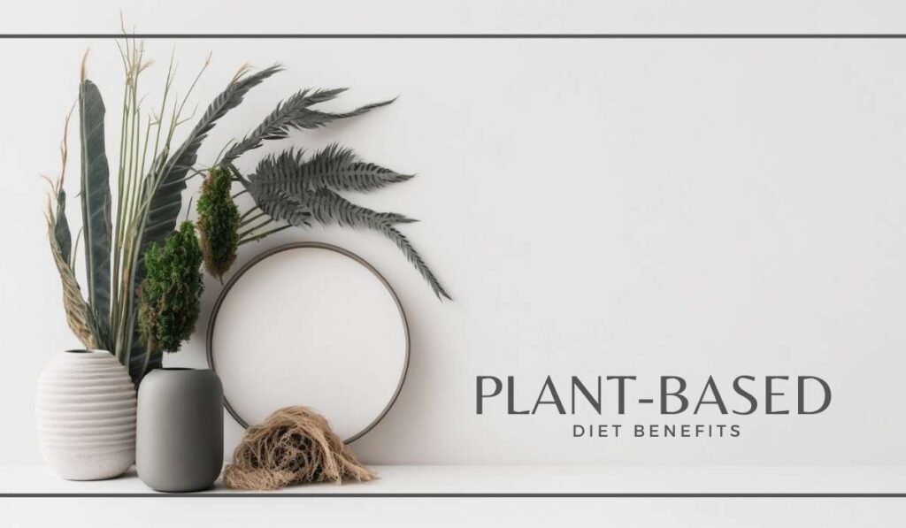 Plant based Diet Benefits: What You Need to Know - AERNS